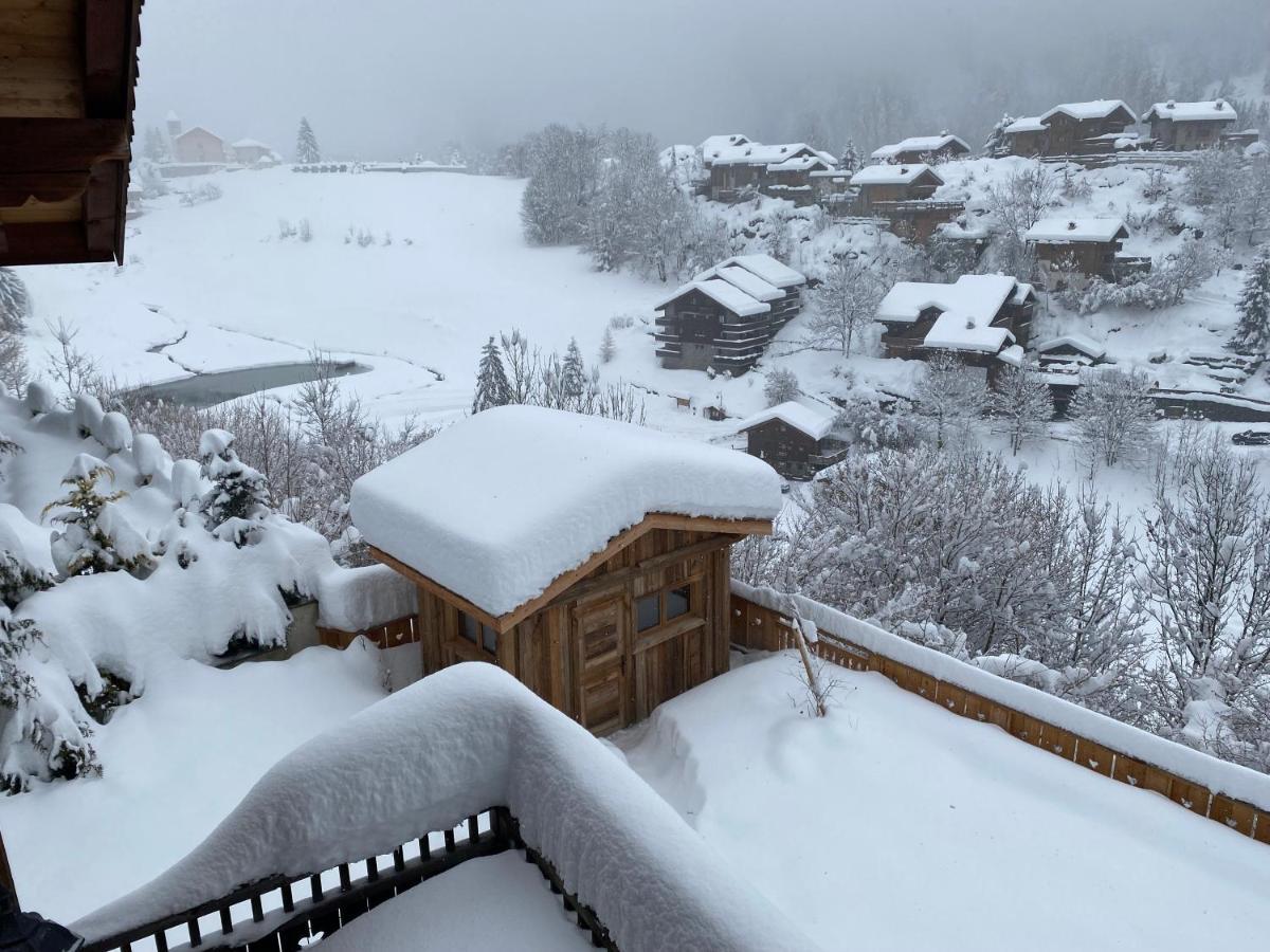 Chalet Des Trappeurs Coeur Vanoise 15 Persons La Plagne Exterior foto